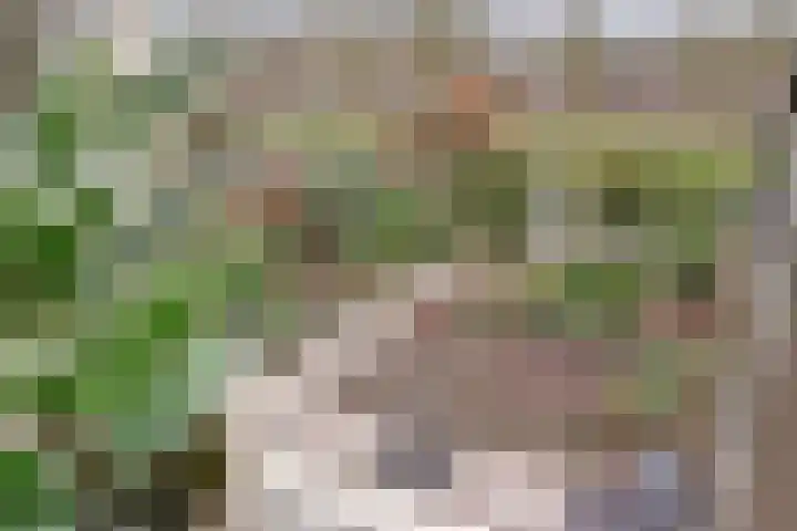 Prozastraat 4 Gorinchem thumbnail 29