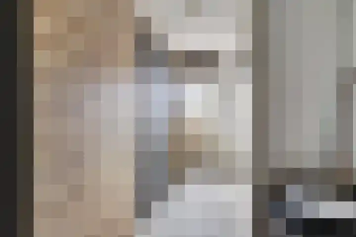 Prozastraat 4 Gorinchem thumbnail 34