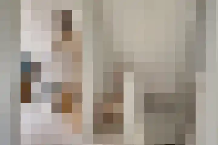 Prozastraat 4 Gorinchem thumbnail 36