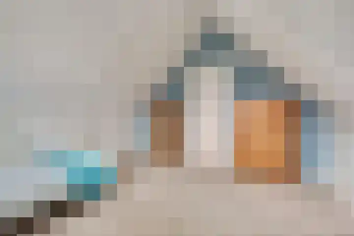 Prozastraat 4 Gorinchem thumbnail 39