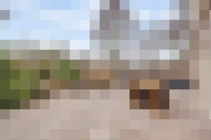 Prozastraat 4 Gorinchem thumbnail 4