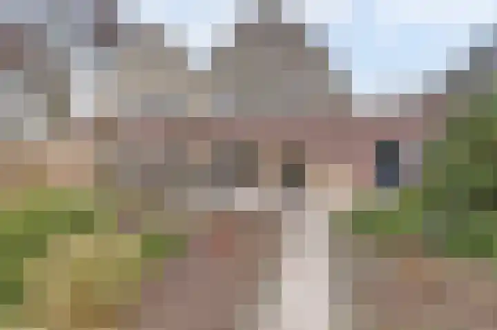 Prozastraat 4 Gorinchem thumbnail 42