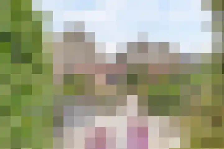 Prozastraat 4 Gorinchem thumbnail 43