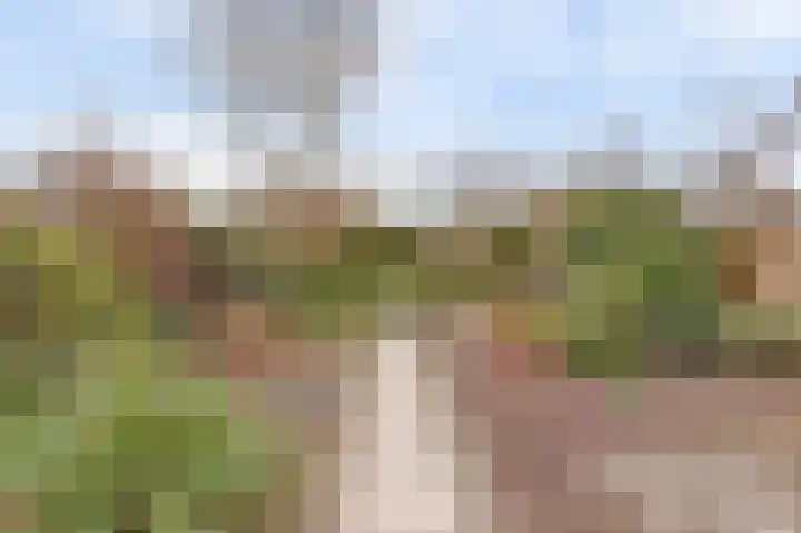 Prozastraat 4 Gorinchem thumbnail 44