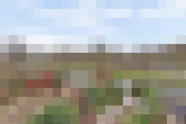 Prozastraat 4 Gorinchem thumbnail 45