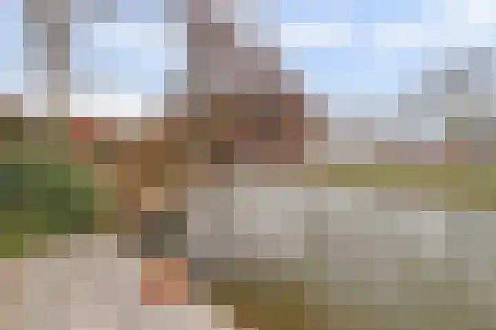 Prozastraat 4 Gorinchem thumbnail 47