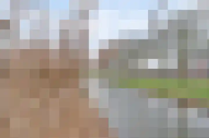 Prozastraat 4 Gorinchem thumbnail 49