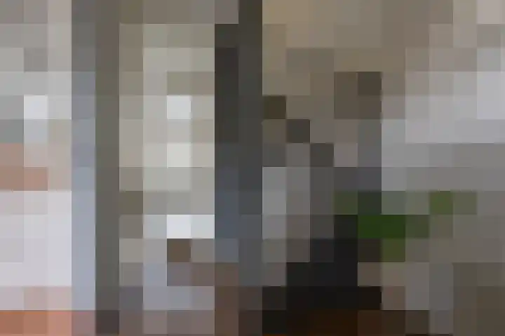 Pruikenmakerstraat 45 Alkmaar thumbnail 10