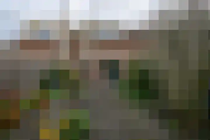 Pruikenmakerstraat 45 Alkmaar thumbnail 18