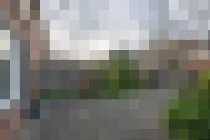 Pruikenmakerstraat 45 Alkmaar thumbnail 19