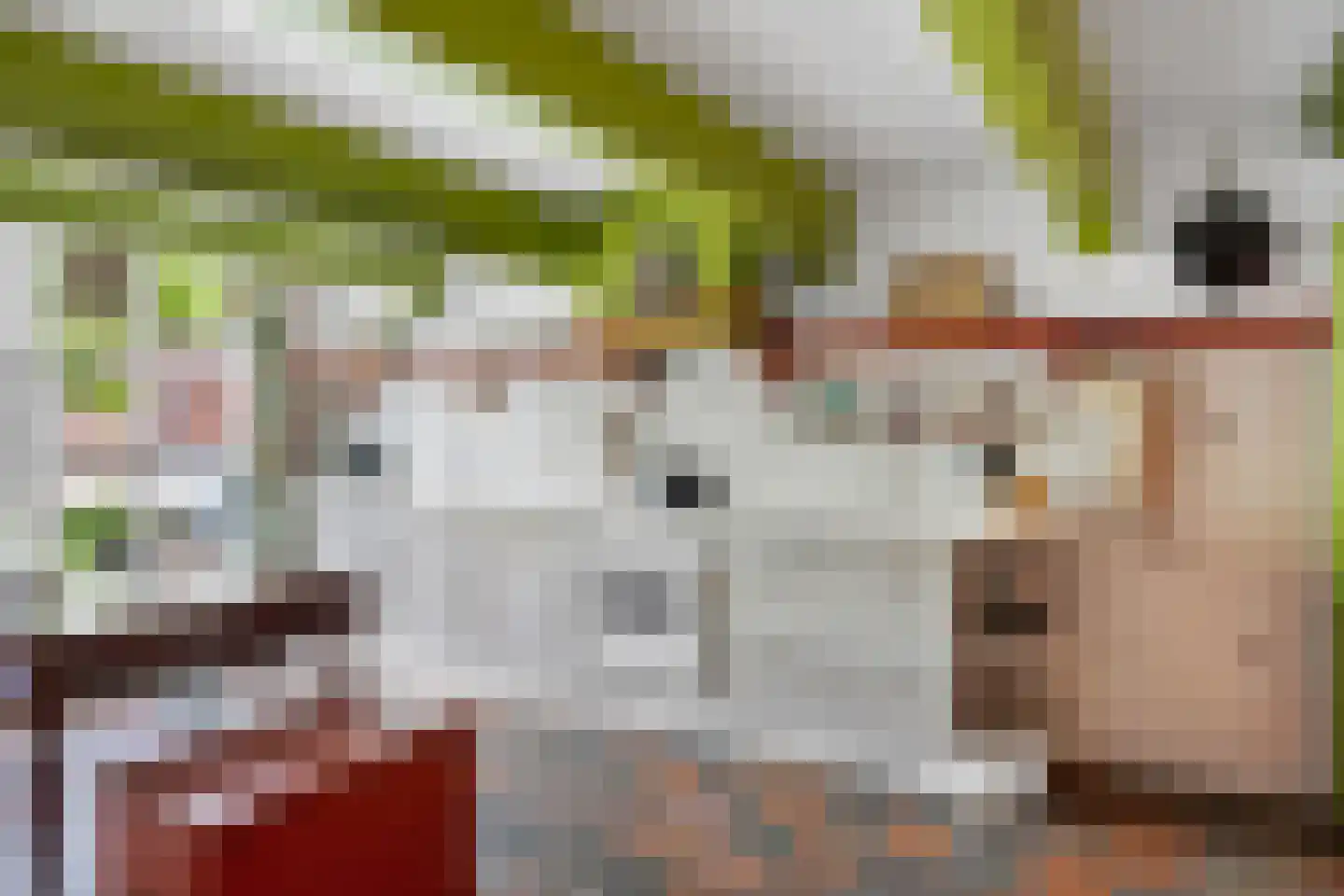 Pruikmakershoek 10 Makkum thumbnail 10