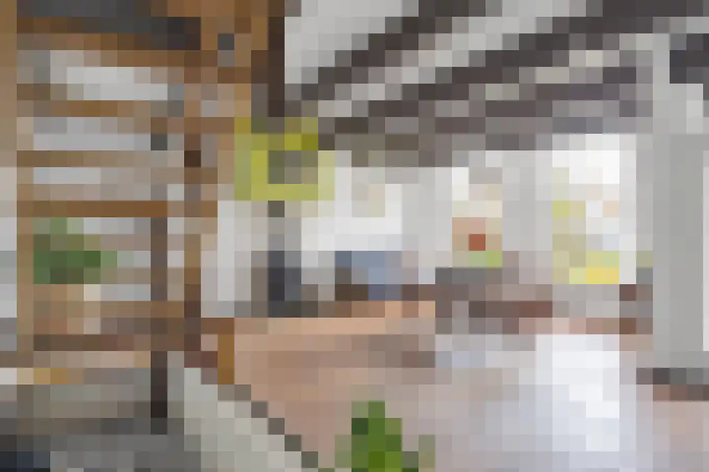 Pruikmakershoek 10 Makkum thumbnail 14