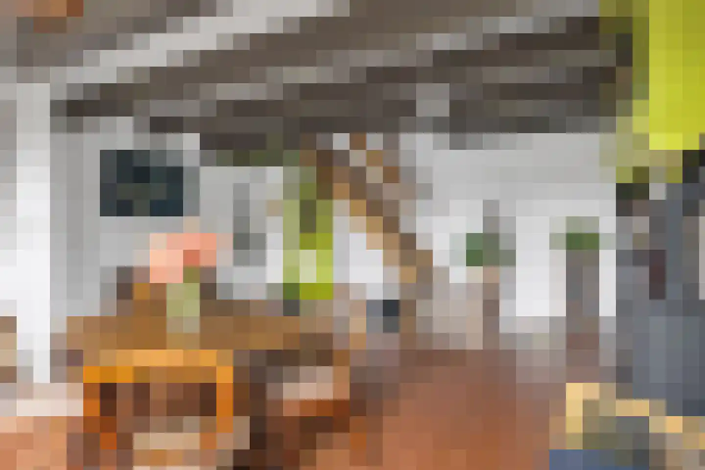 Pruikmakershoek 10 Makkum thumbnail 15