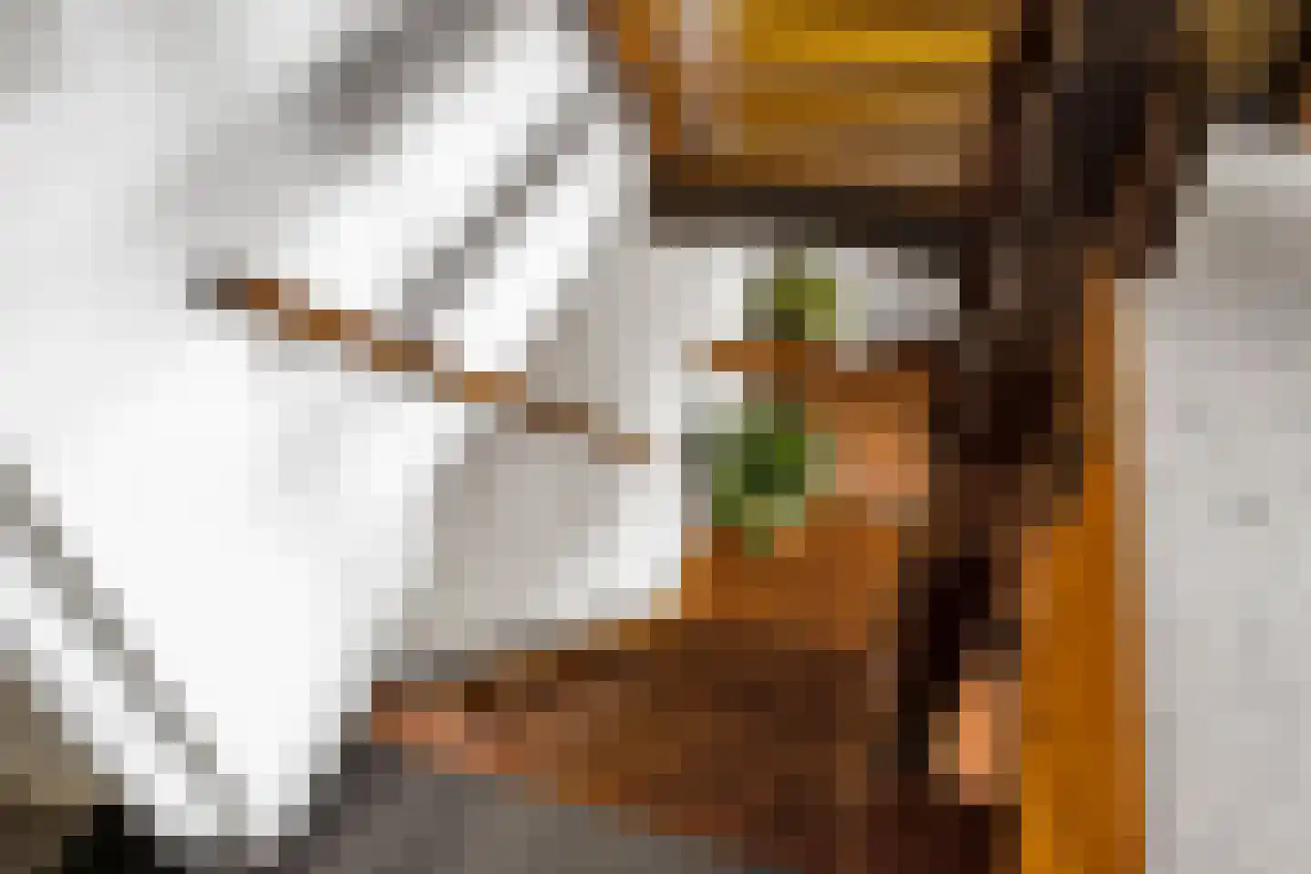 Pruikmakershoek 10 Makkum thumbnail 19