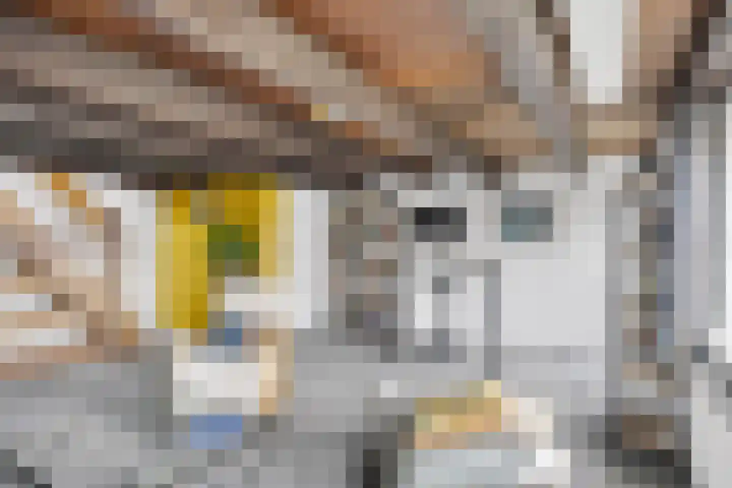 Pruikmakershoek 10 Makkum thumbnail 22