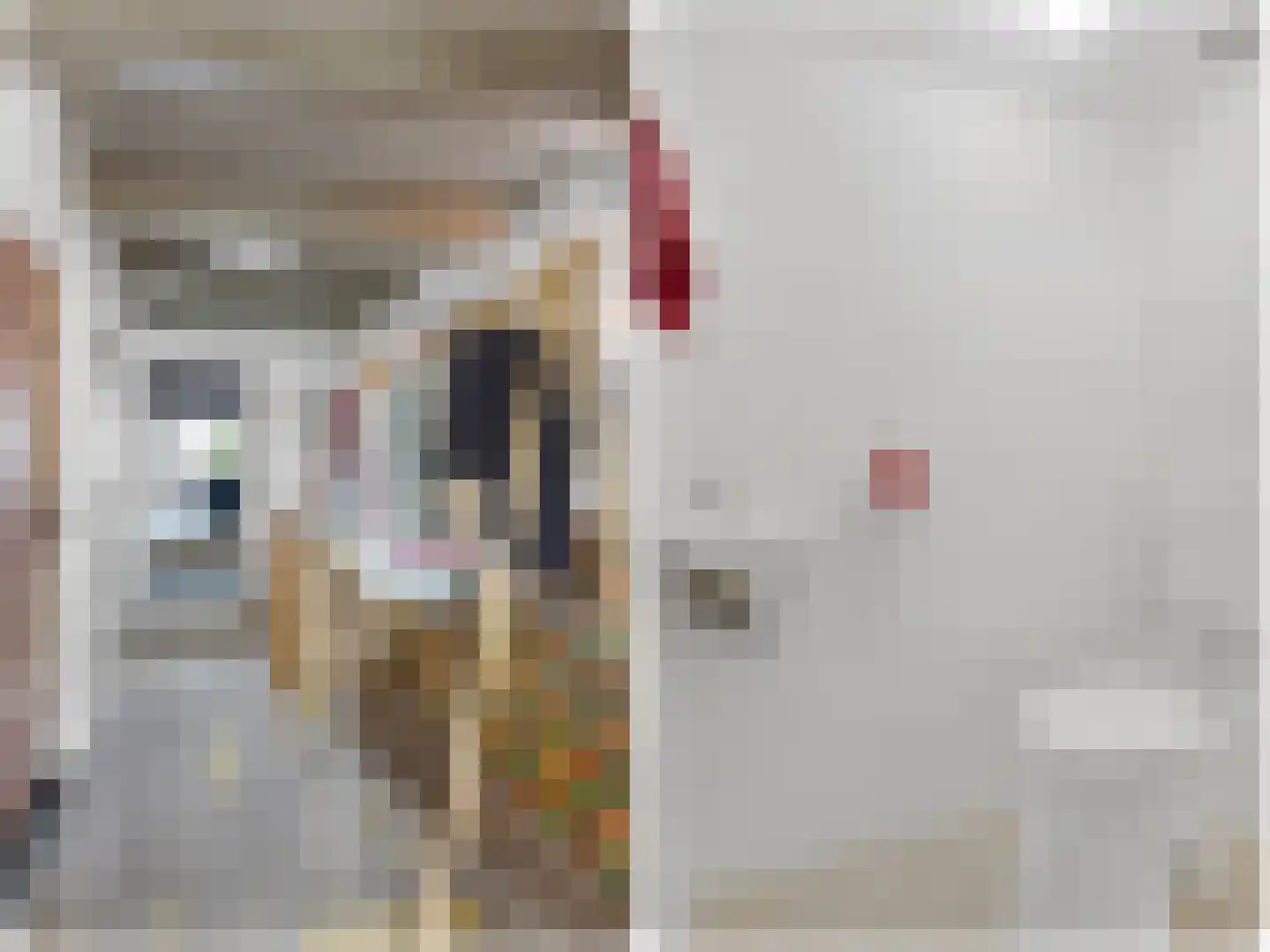 Pruikmakershoek 10 Makkum thumbnail 27