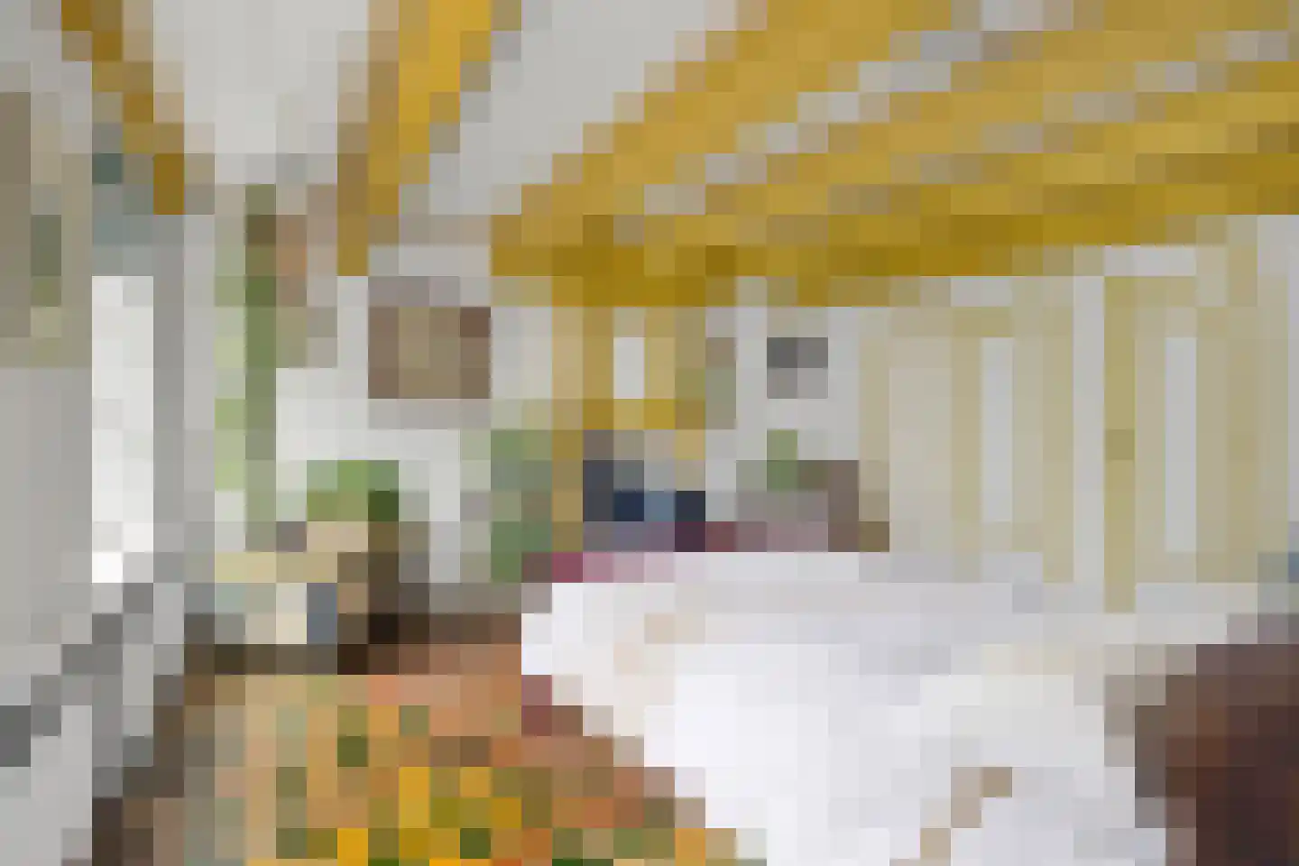 Pruikmakershoek 10 Makkum thumbnail 32