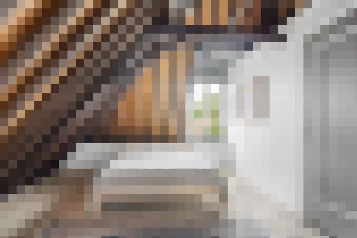 Pruikmakershoek 10 Makkum thumbnail 36