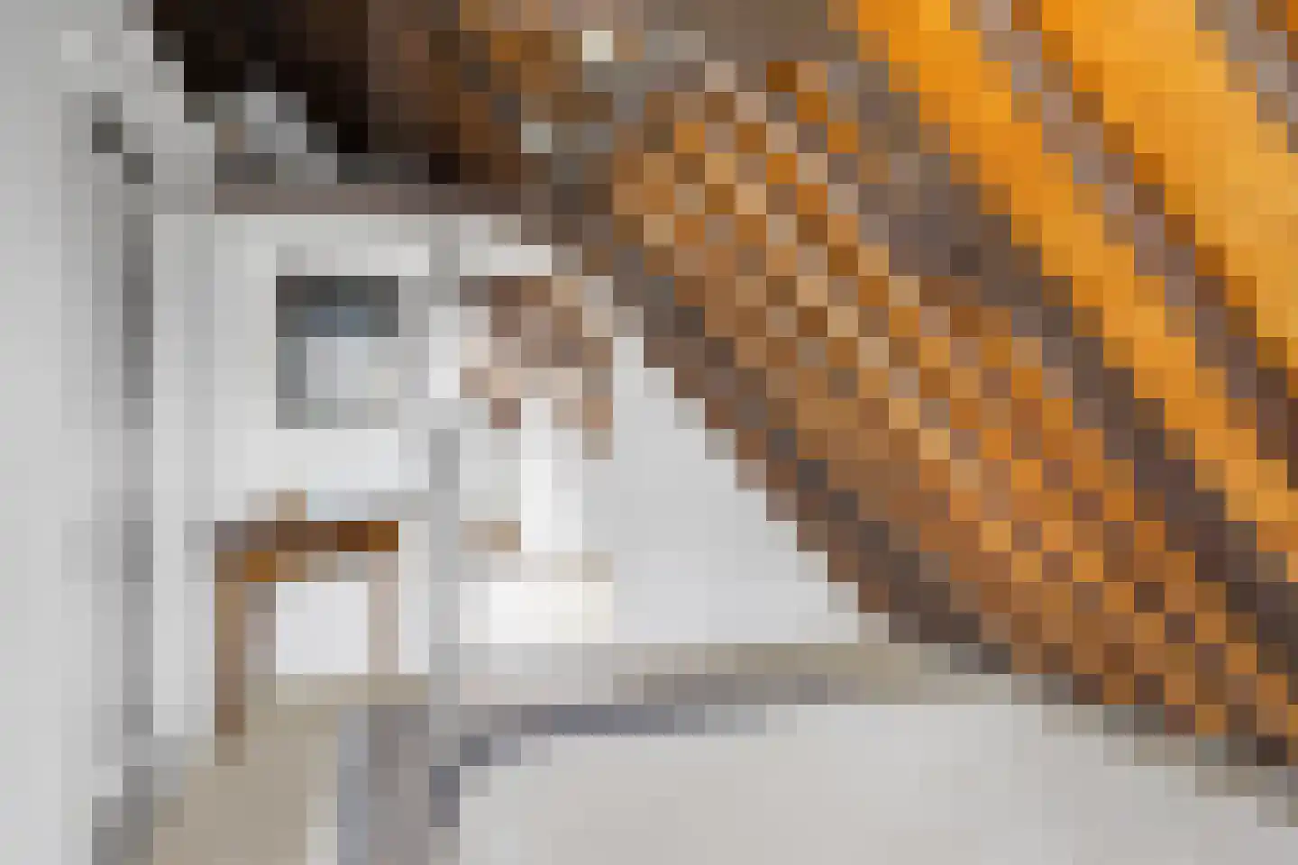 Pruikmakershoek 10 Makkum thumbnail 37