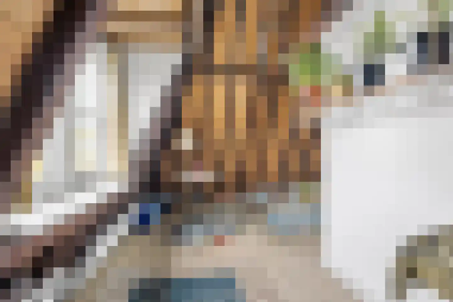 Pruikmakershoek 10 Makkum thumbnail 40