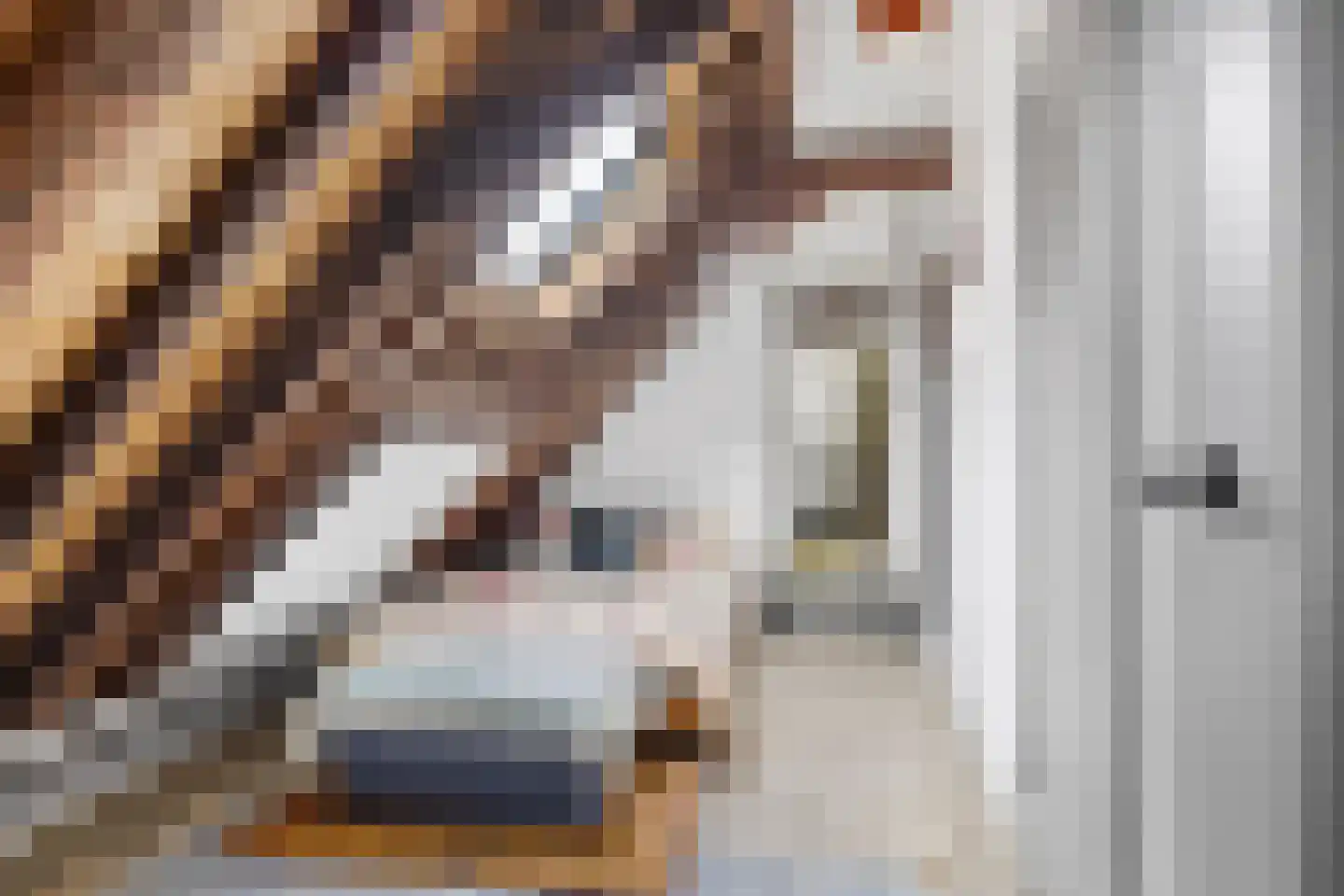 Pruikmakershoek 10 Makkum thumbnail 42