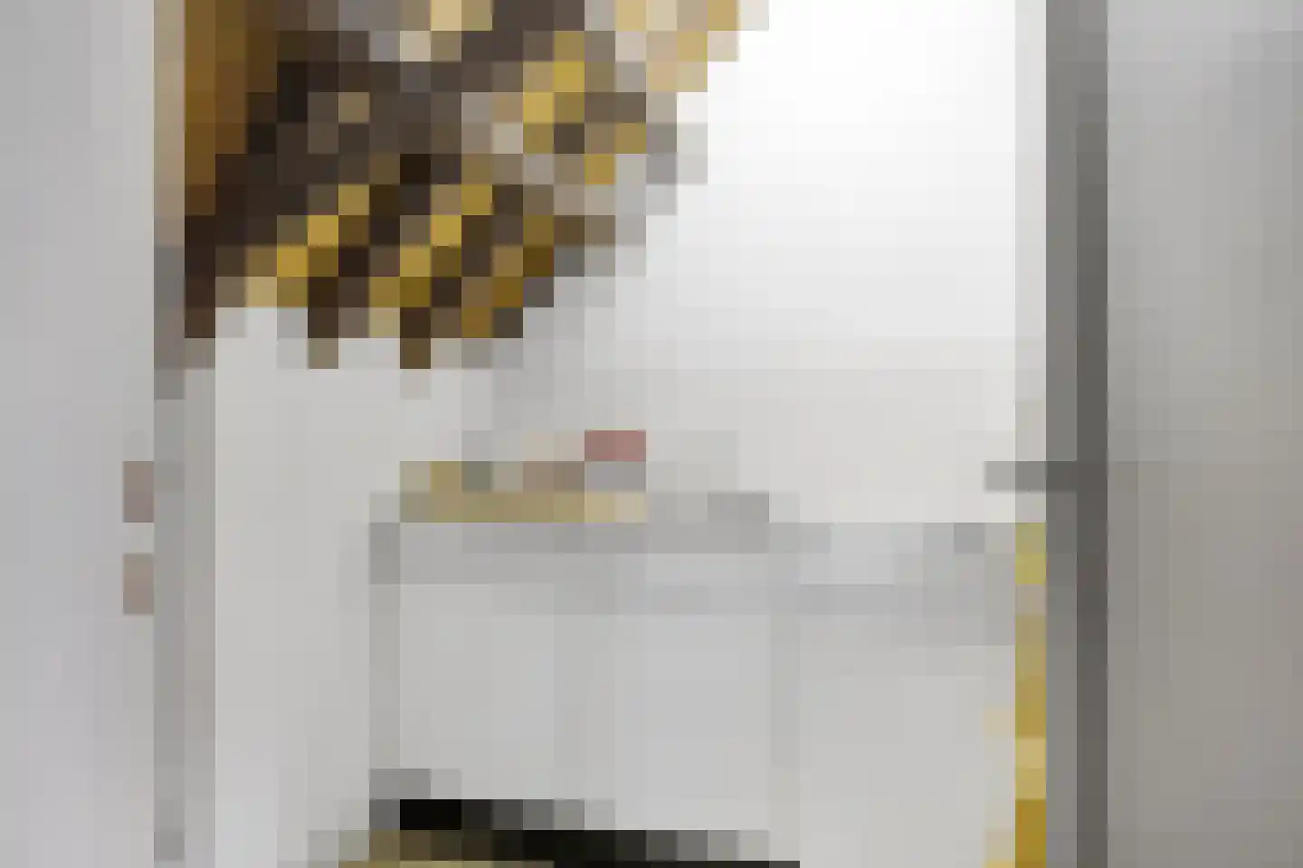 Pruikmakershoek 10 Makkum thumbnail 43