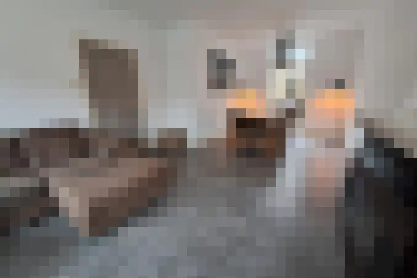 Pruikmakershoek 26 Makkum thumbnail 7