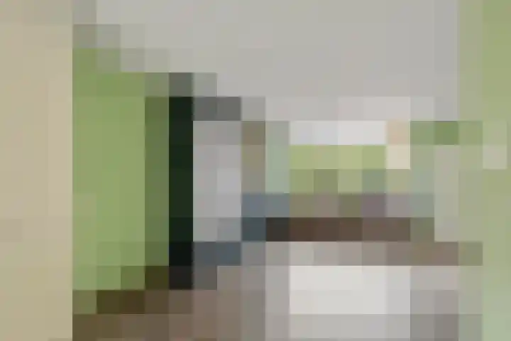 Pruimeboom 2 Culemborg thumbnail 11