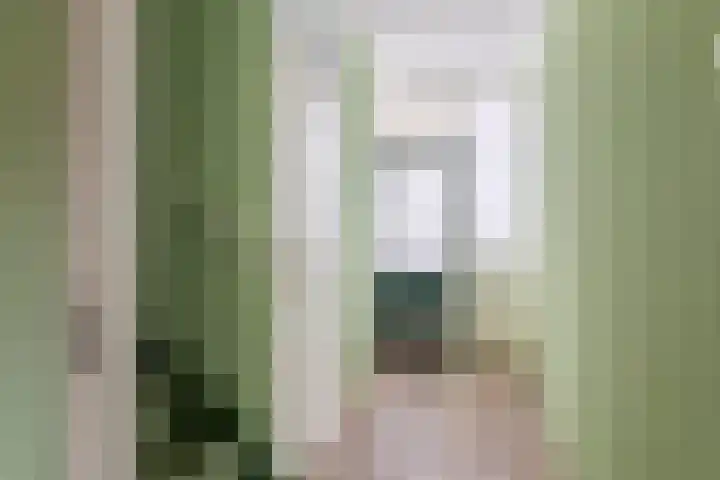 Pruimeboom 2 Culemborg thumbnail 13