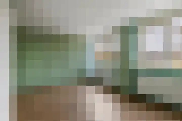 Pruimeboom 2 Culemborg thumbnail 14