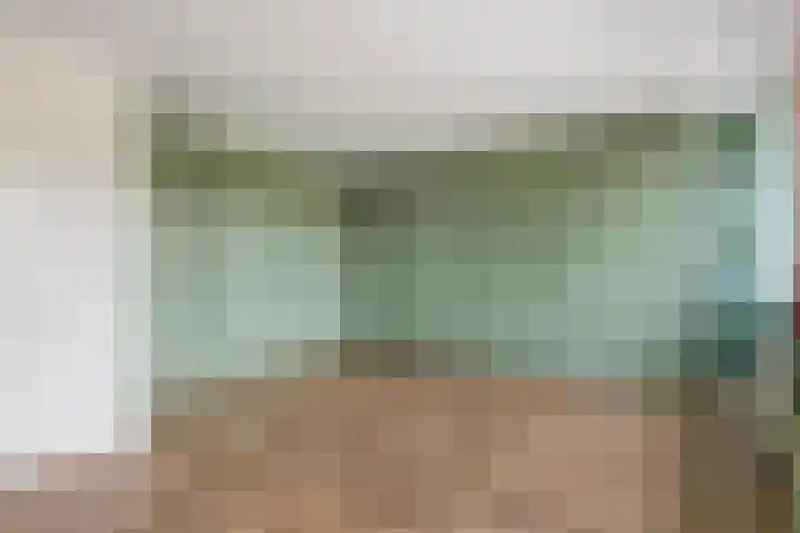 Pruimeboom 2 Culemborg thumbnail 15