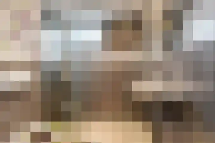 Pruimeboom 2 Culemborg thumbnail 17