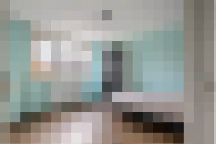 Pruimeboom 2 Culemborg thumbnail 18