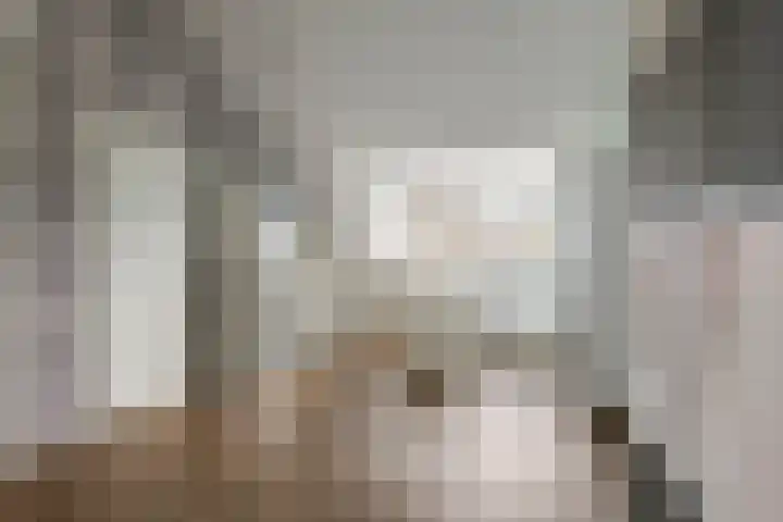 Pruimeboom 2 Culemborg thumbnail 19