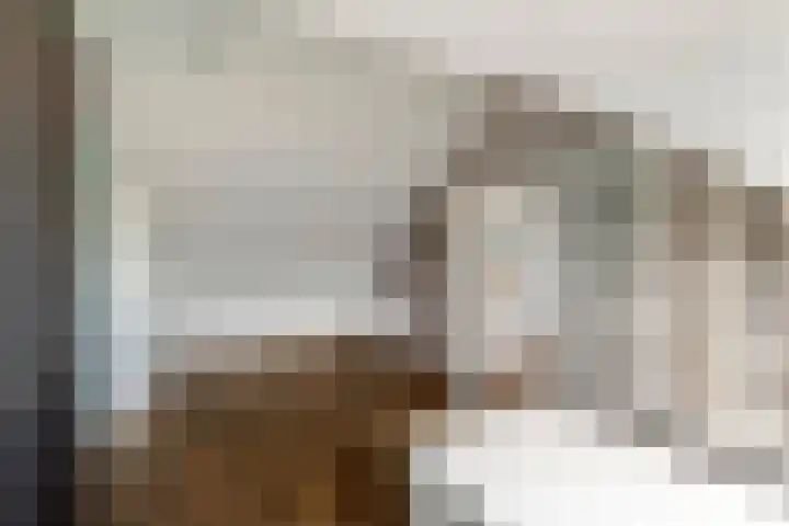 Pruimeboom 2 Culemborg thumbnail 20