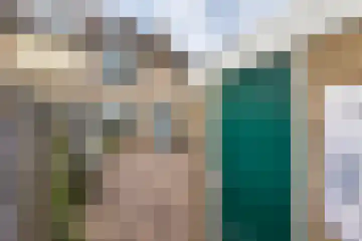 Pruimeboom 2 Culemborg thumbnail 22