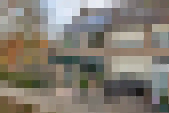 Pruimeboom 2 Culemborg thumbnail 24