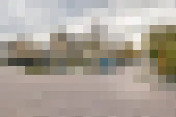 Pruimeboom 2 Culemborg thumbnail 25