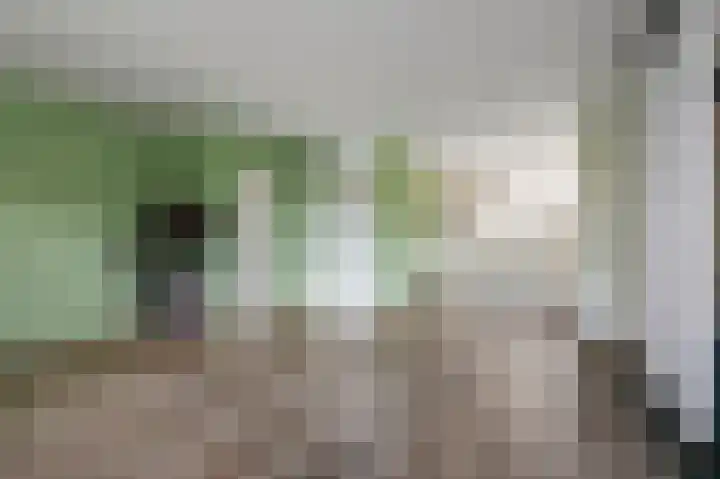 Pruimeboom 2 Culemborg thumbnail 4