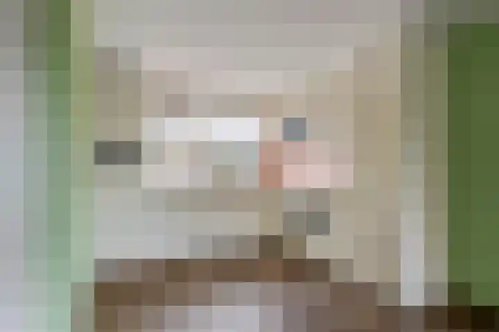 Pruimeboom 2 Culemborg thumbnail 5