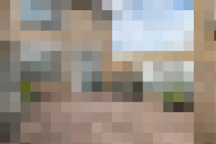 Pruimeboom 2 Culemborg thumbnail 6