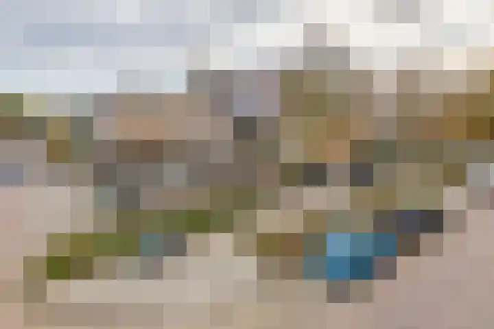 Pruimeboom 2 Culemborg thumbnail 7