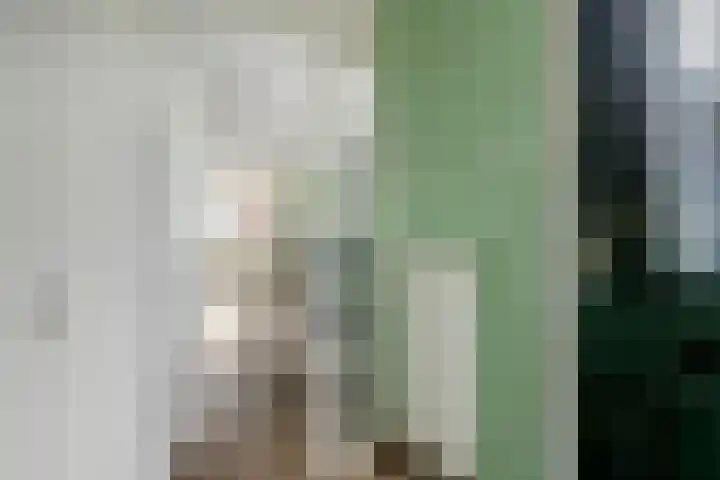 Pruimeboom 2 Culemborg thumbnail 8