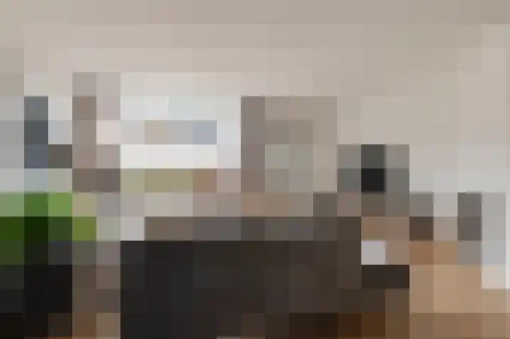 Pruimeboom 22 Culemborg thumbnail 12