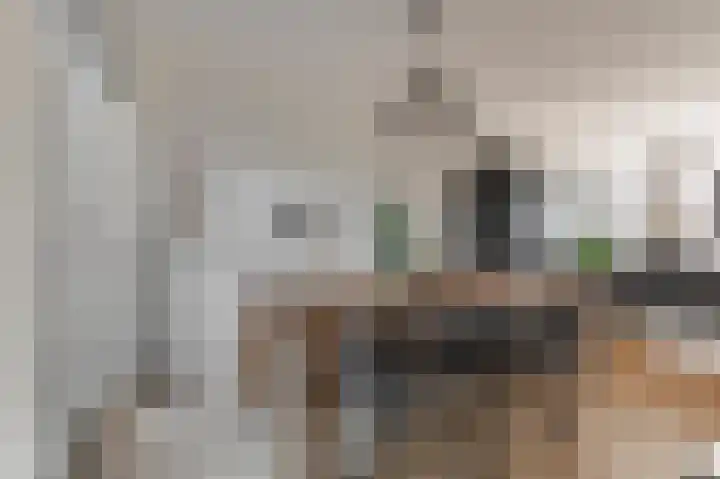 Pruimeboom 22 Culemborg thumbnail 15