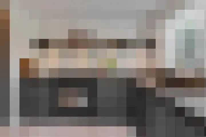Pruimeboom 22 Culemborg thumbnail 19