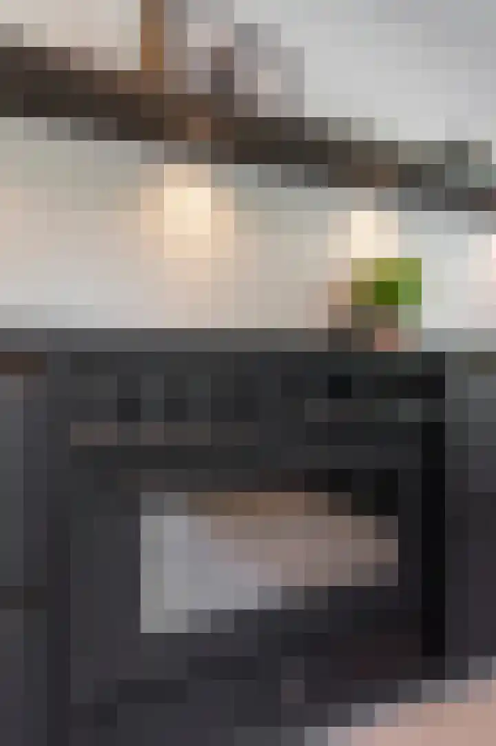 Pruimeboom 22 Culemborg thumbnail 20