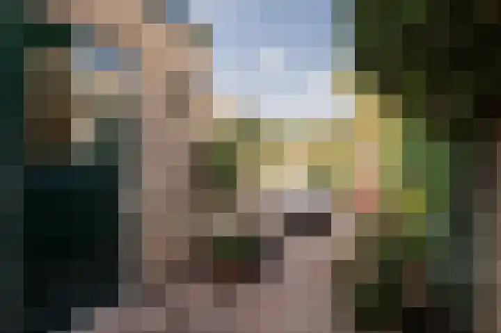 Pruimeboom 22 Culemborg thumbnail 25