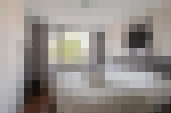 Pruimeboom 22 Culemborg thumbnail 33