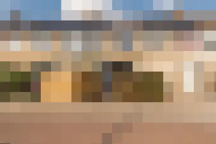 Pruimeboom 22 Culemborg thumbnail 5